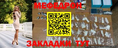 стафф Бийск